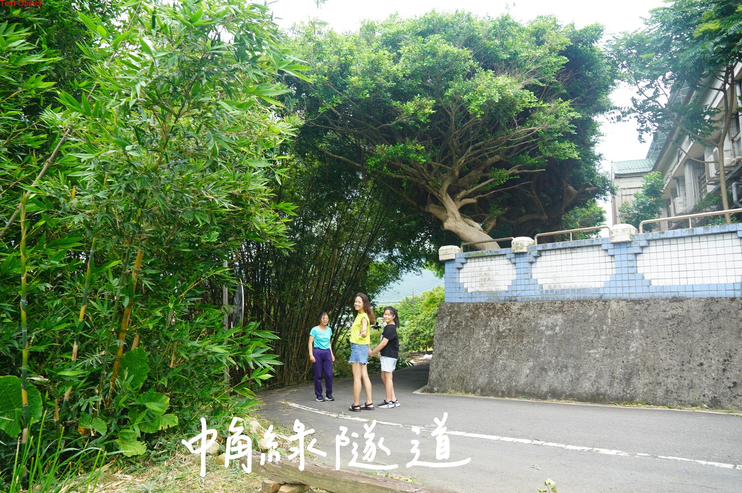 連結到中角綠隧道