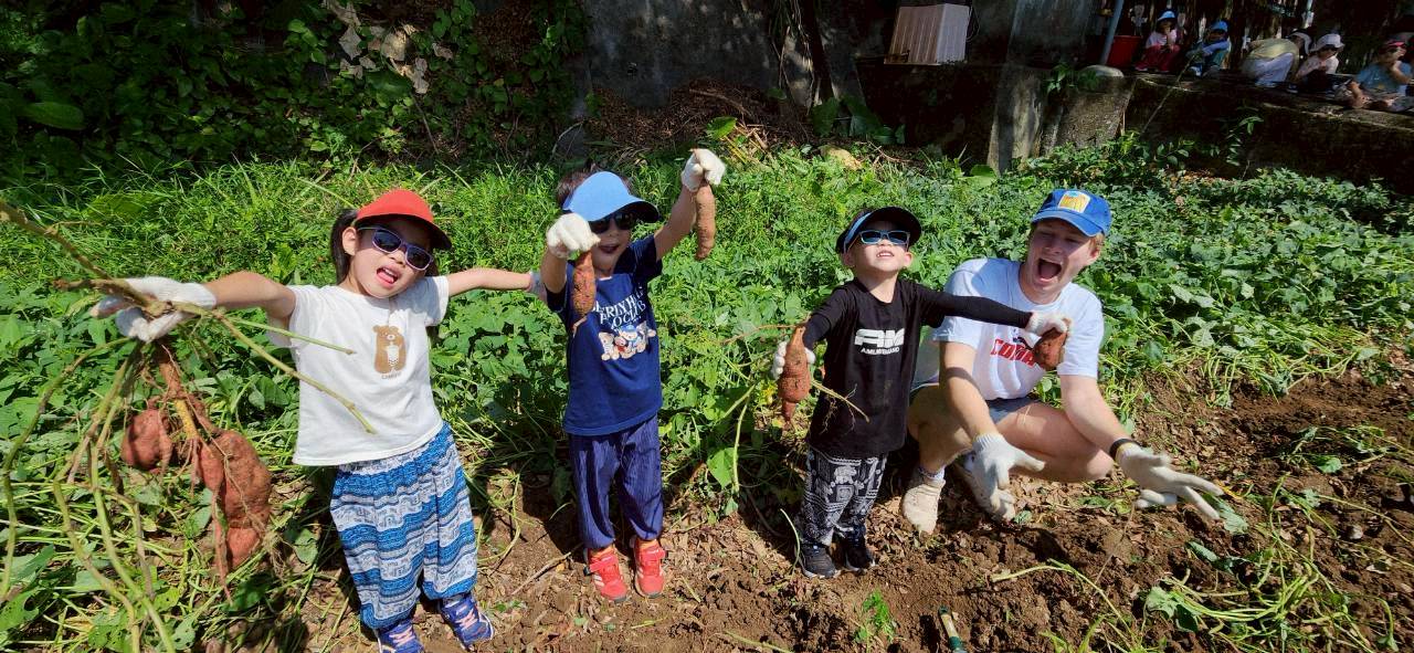 2025附幼地瓜採收